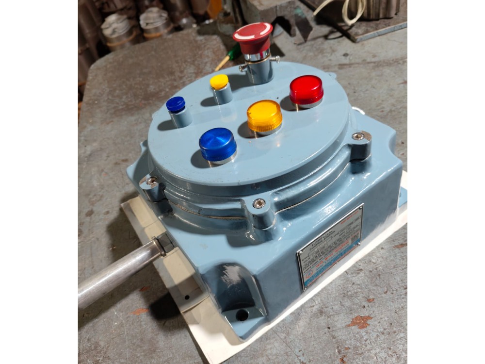 FLP Puch Button Pendant