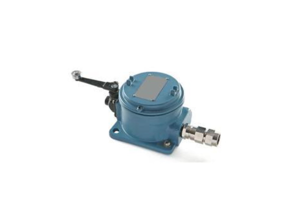 FLP Micro Limit Switch